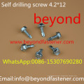 Self Tapping Screw Self Drilling Screw Roofing Screw